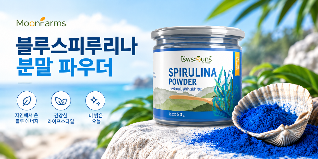 블루스피루리나 분말 파우더 효과·복용법｜태국 MoonFarms 블루스피루리나 추천