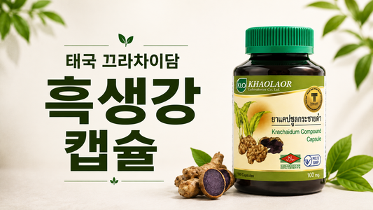 태국 끄라차이담 흑생강 캡슐, 구매하는 곳